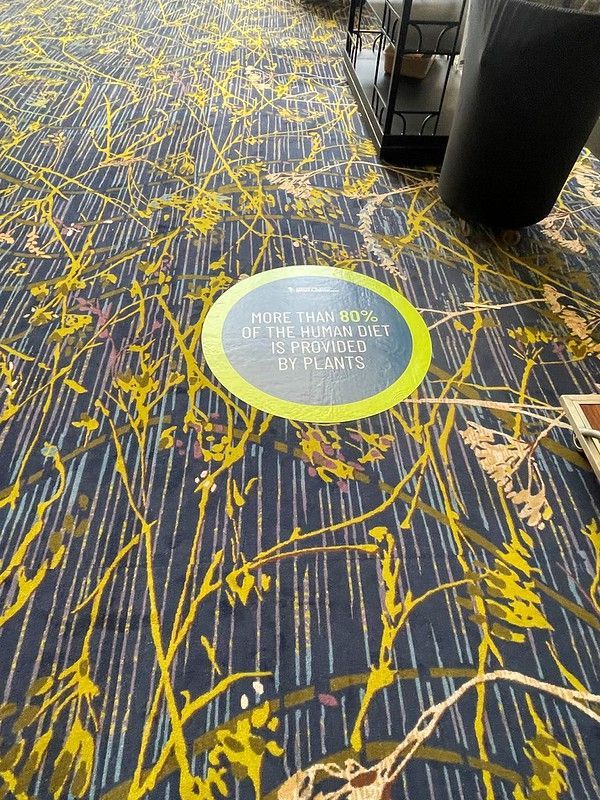 Floor Graphics — 5