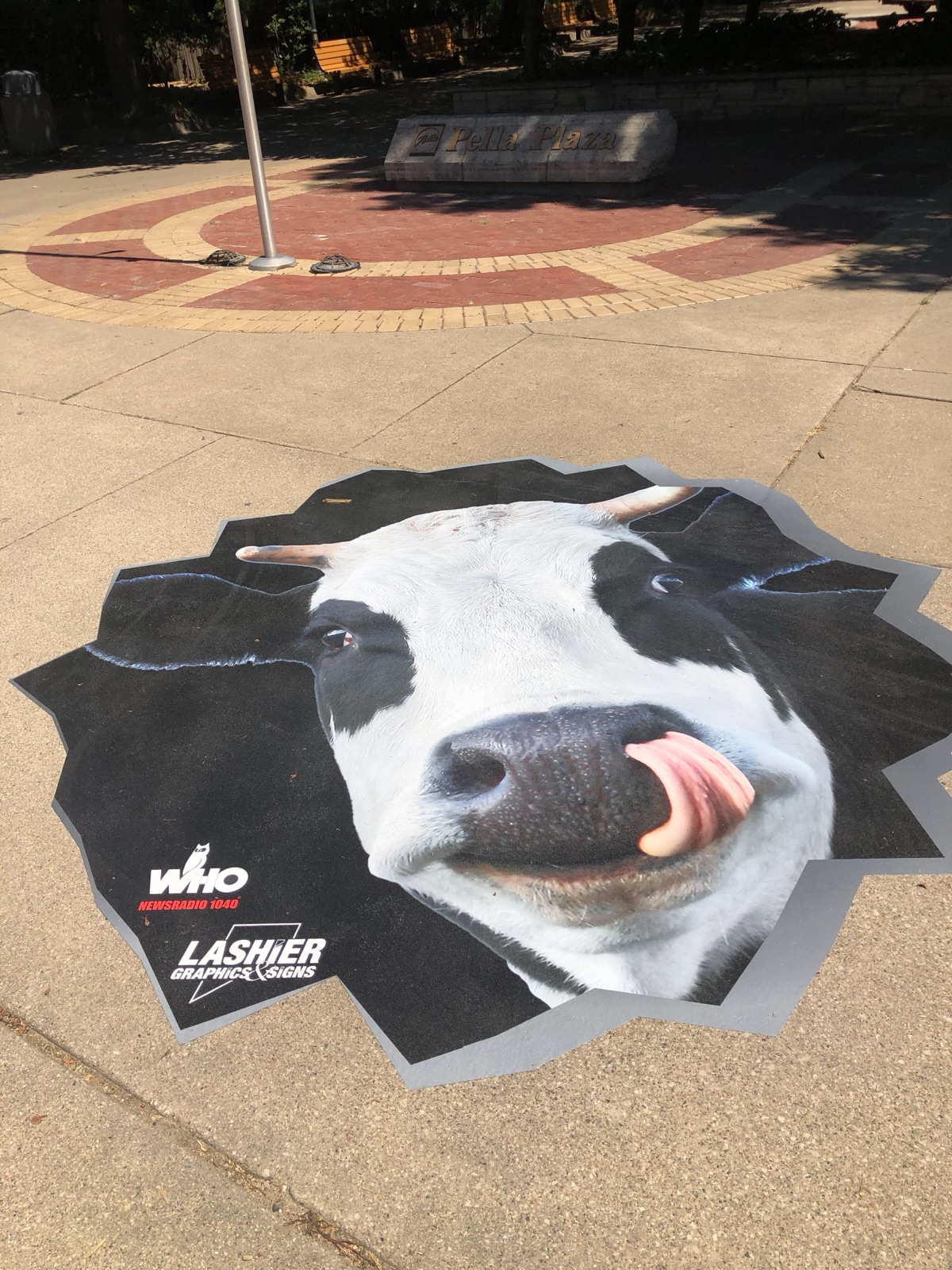 Floor Graphics — 44
