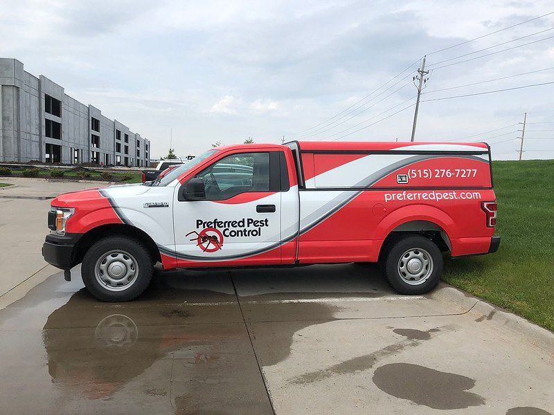 Vehicle Wraps — 26