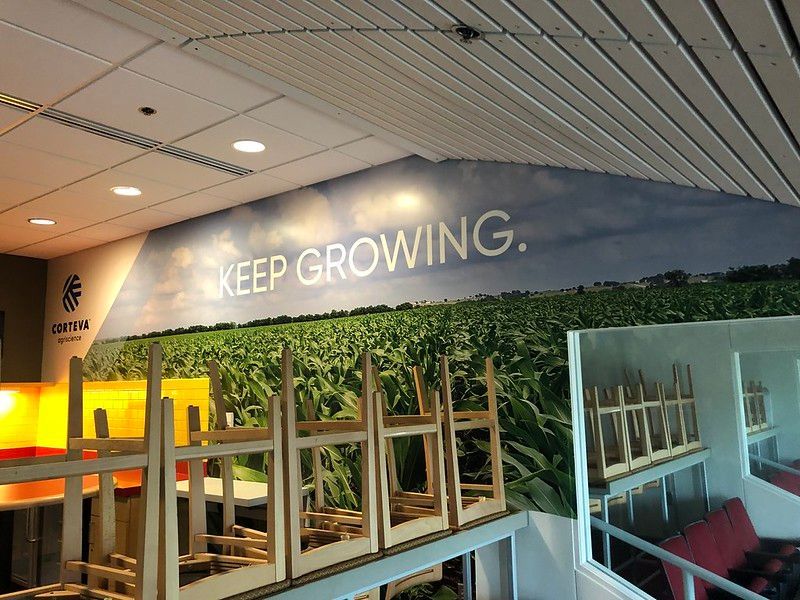 Wall Graphics — 21