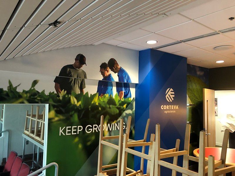 Wall Graphics — 22