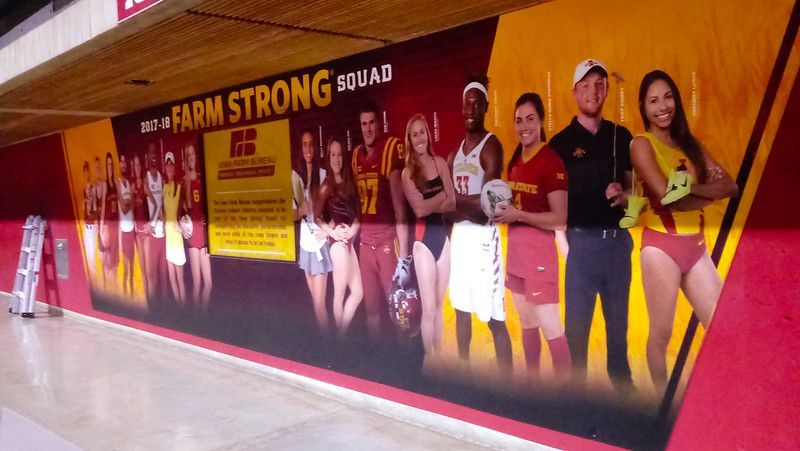 Wall Graphics — 130