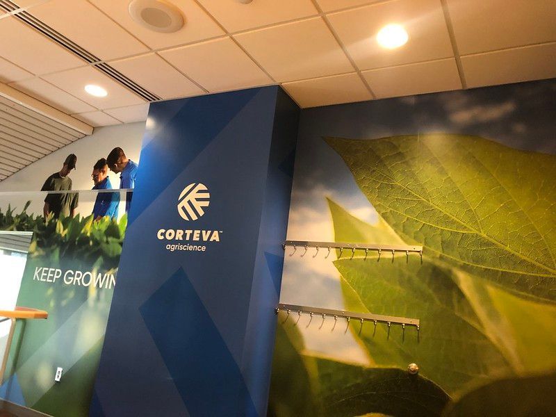Wall Graphics — 23