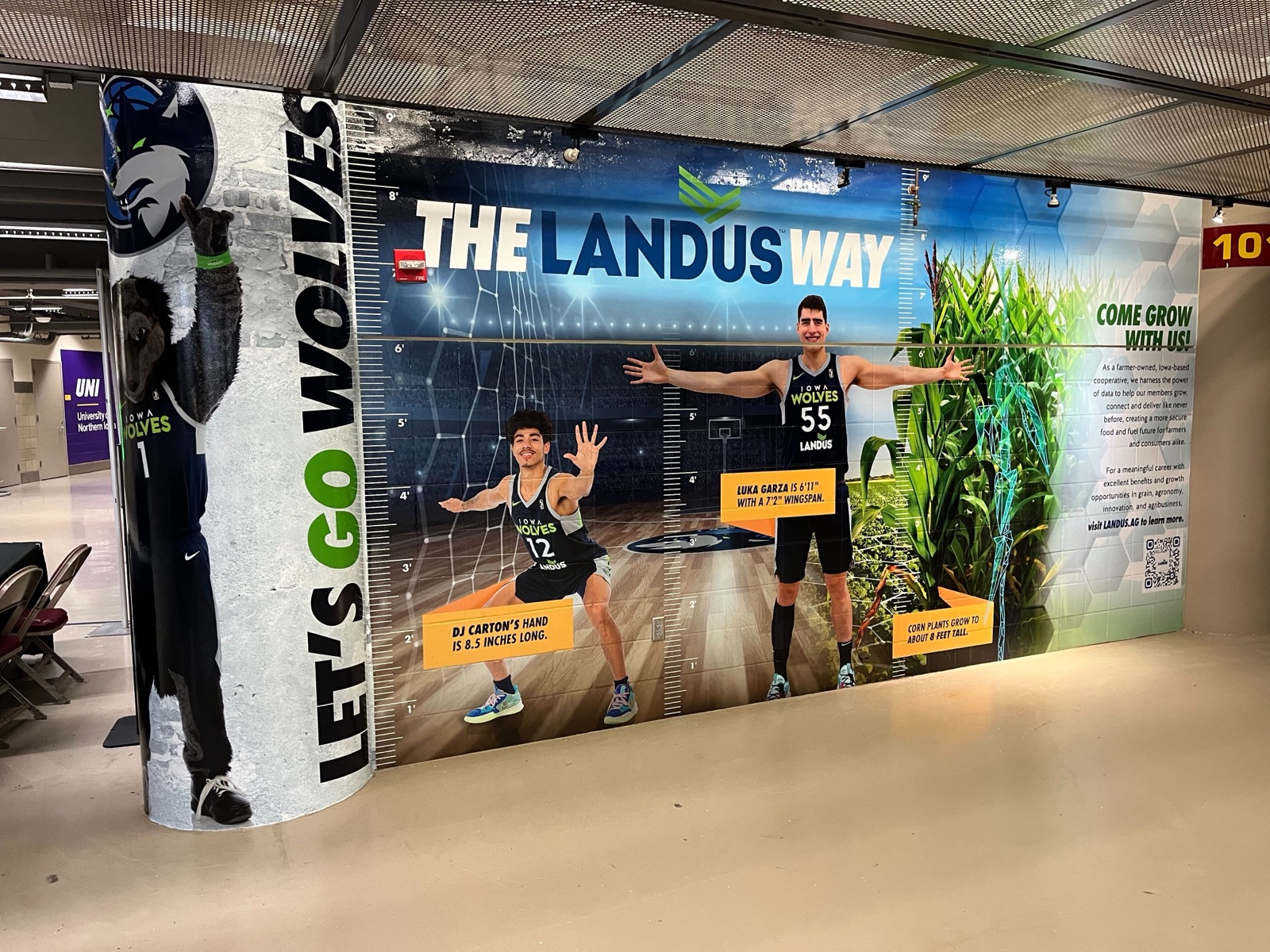 Wall Graphics — 157