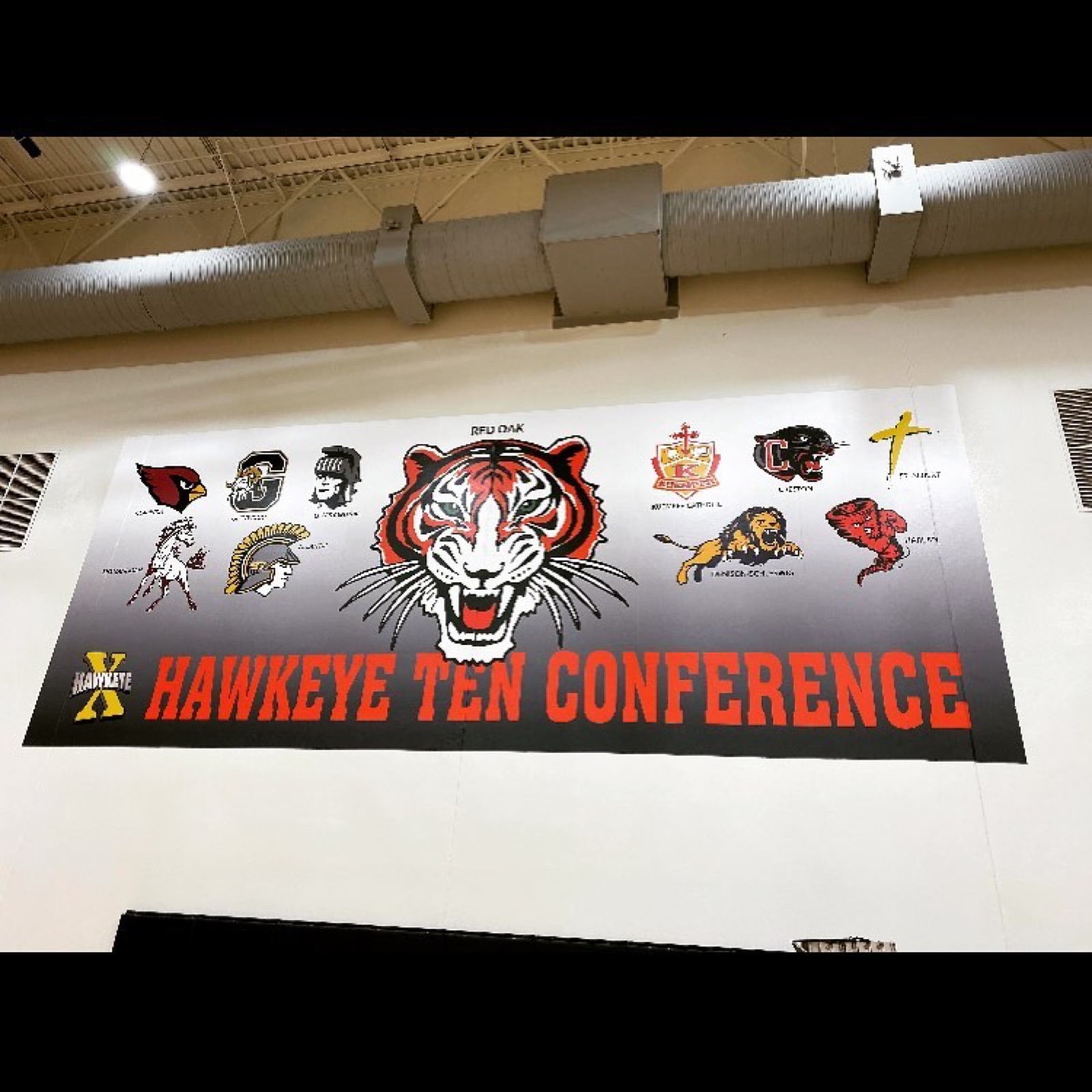 Wall Graphics — 167