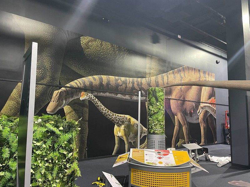 Wall Graphics — 39